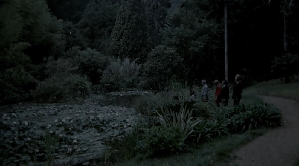 Pond