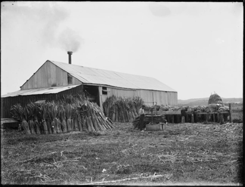 Flax Trade